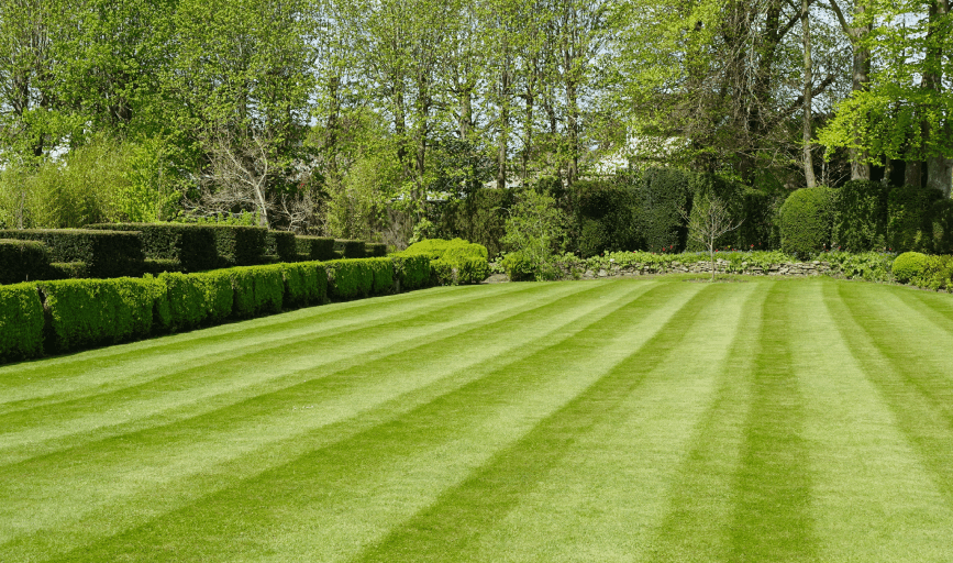 LAWN MOWING